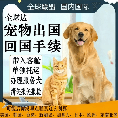 虹口区宠物托运到柬埔寨宠物入境规定和要求