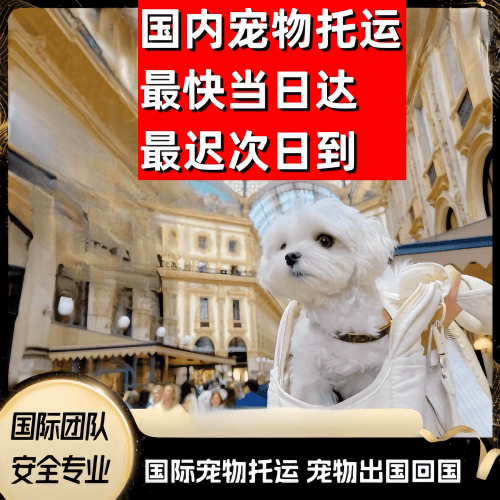 虹口区到澳大利亚（澳洲）宠物入境规定和要求